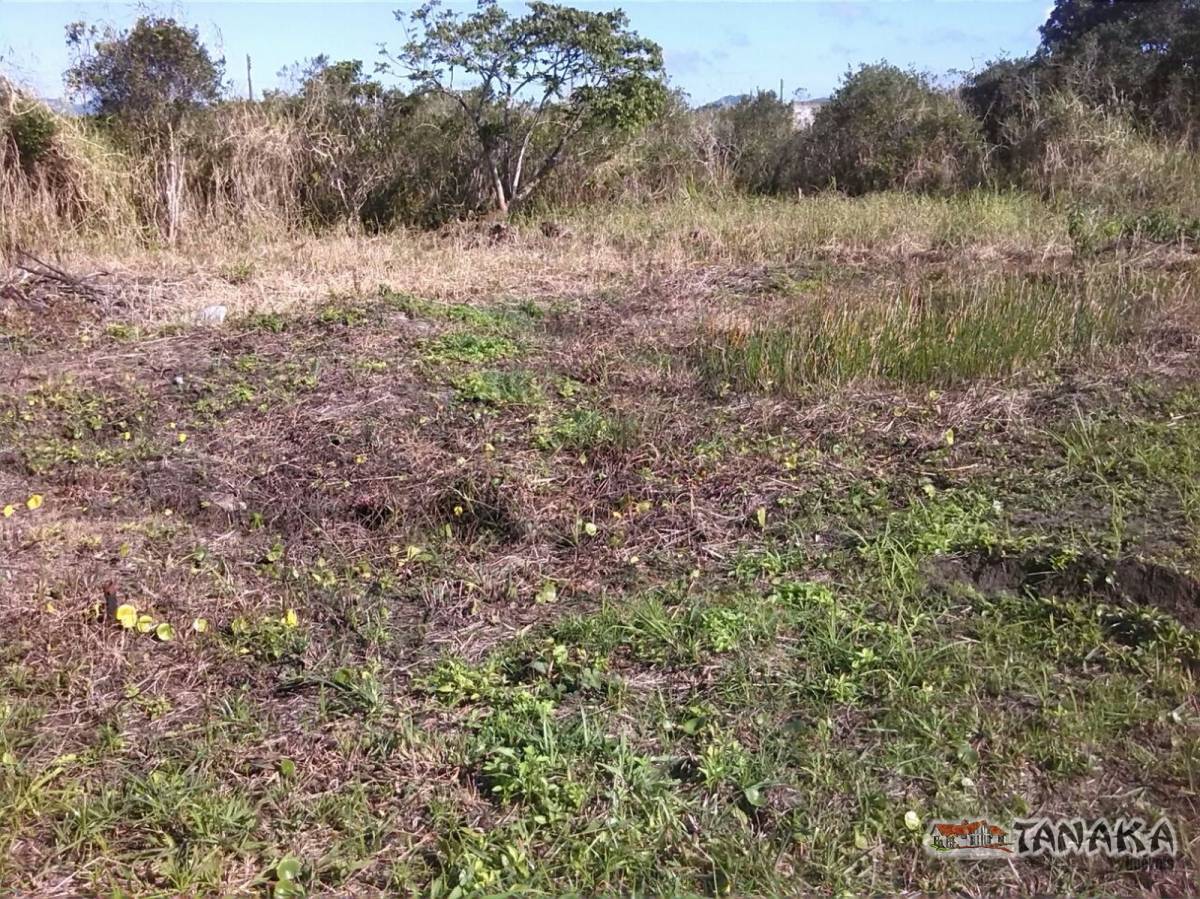 Terreno em Peruíbe - Tanaka Imóveis