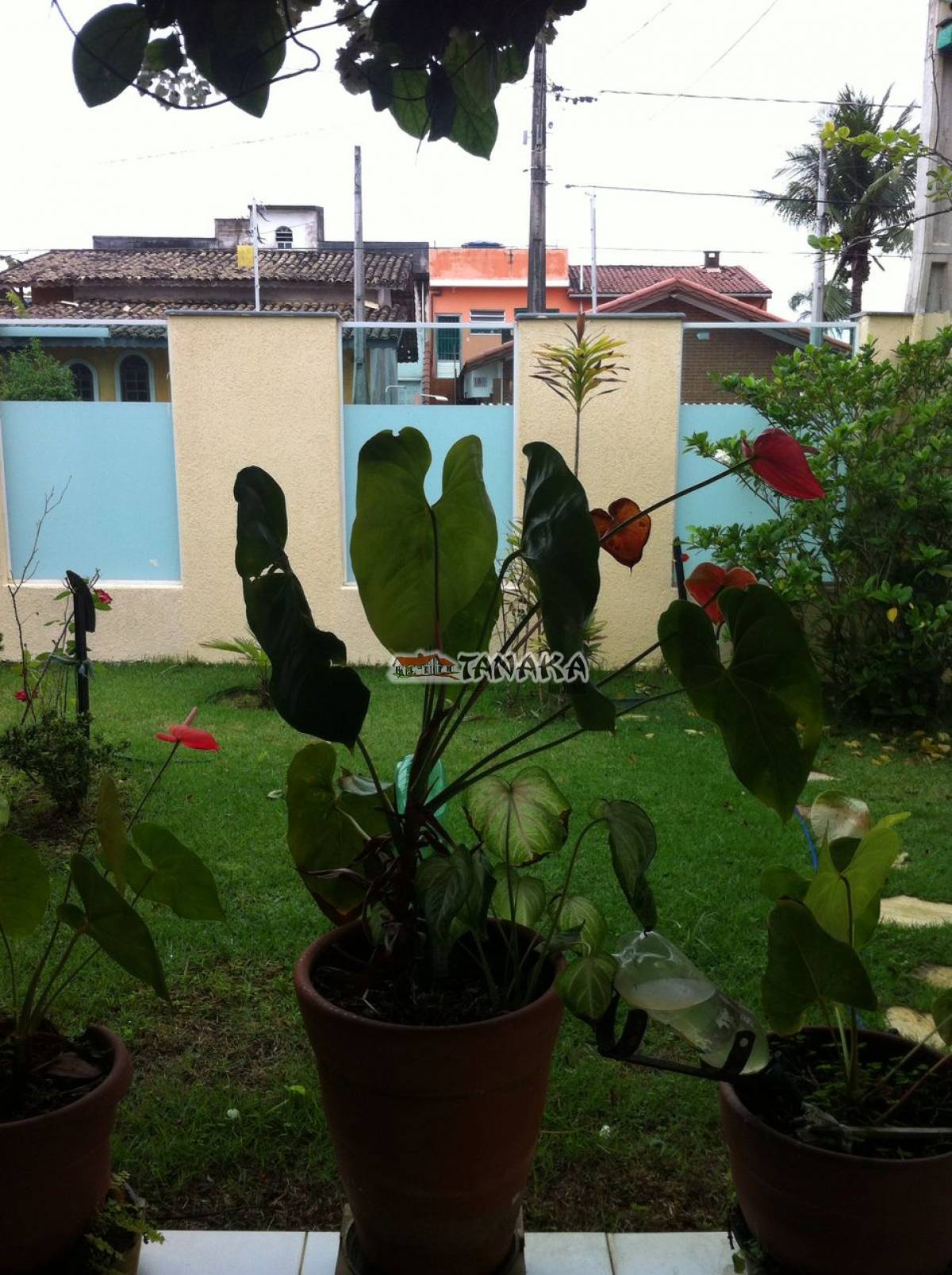 Casa em Peruíbe